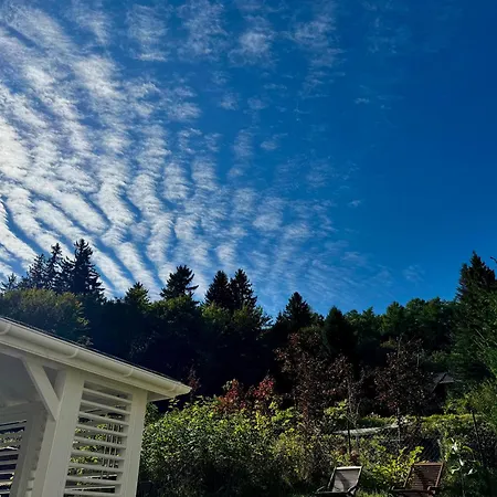 Margaret Апартаменты *