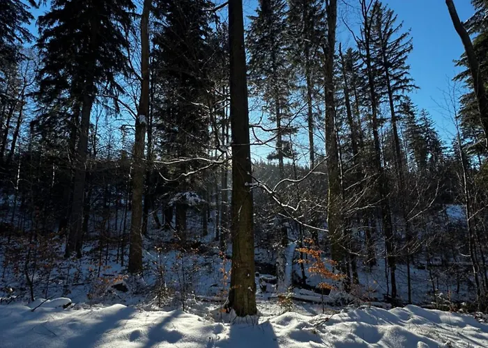 Apartamento Margaret